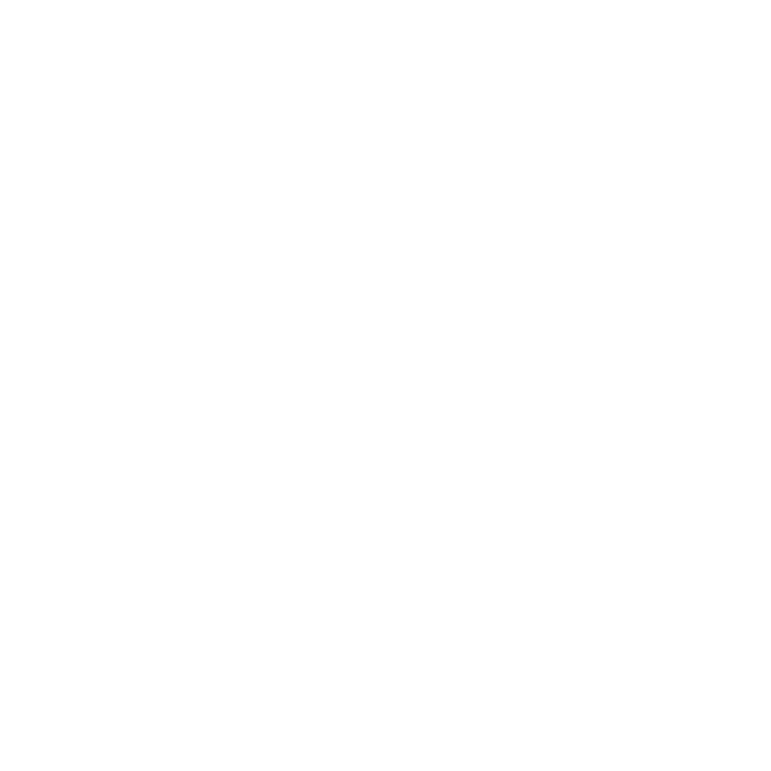 C.Shreve the Professor