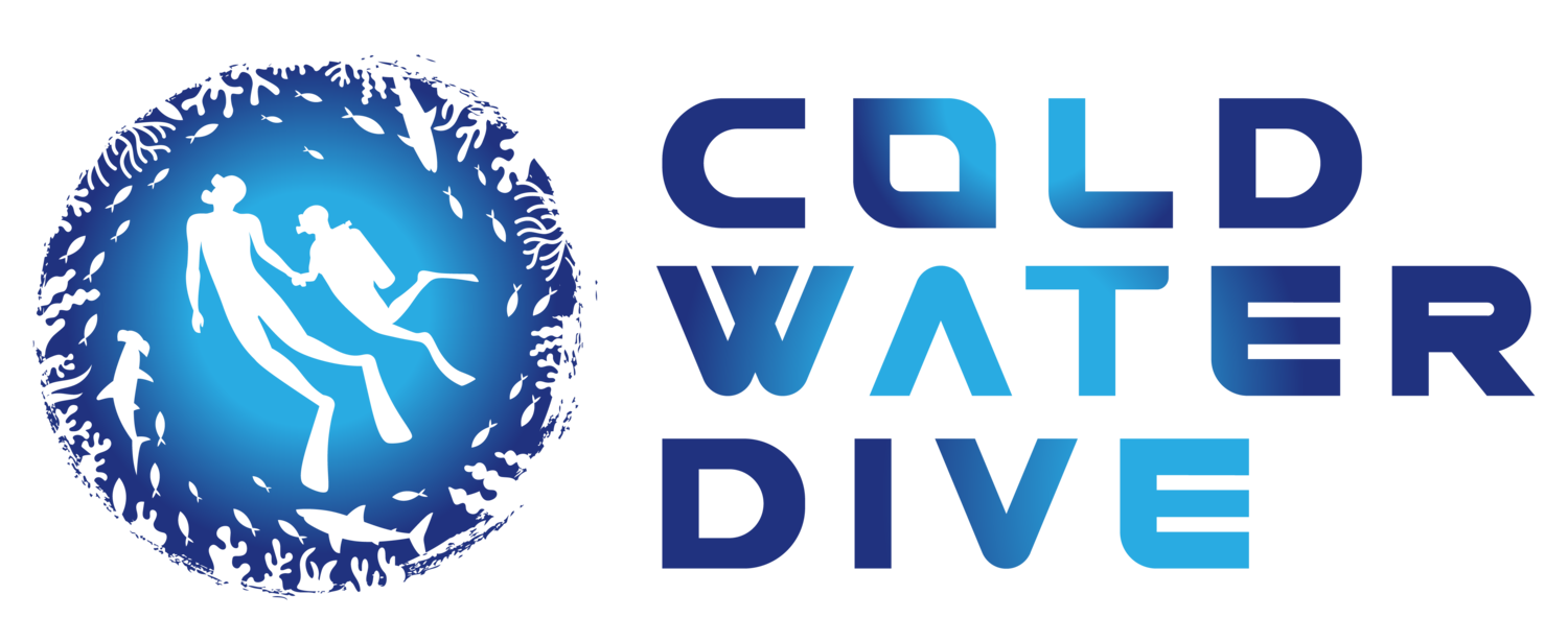Cold Water Dive
