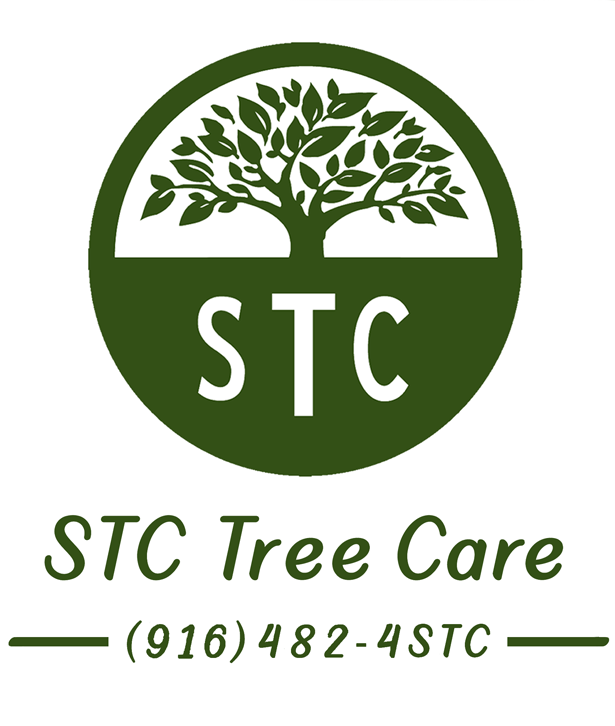 STC Tree Care