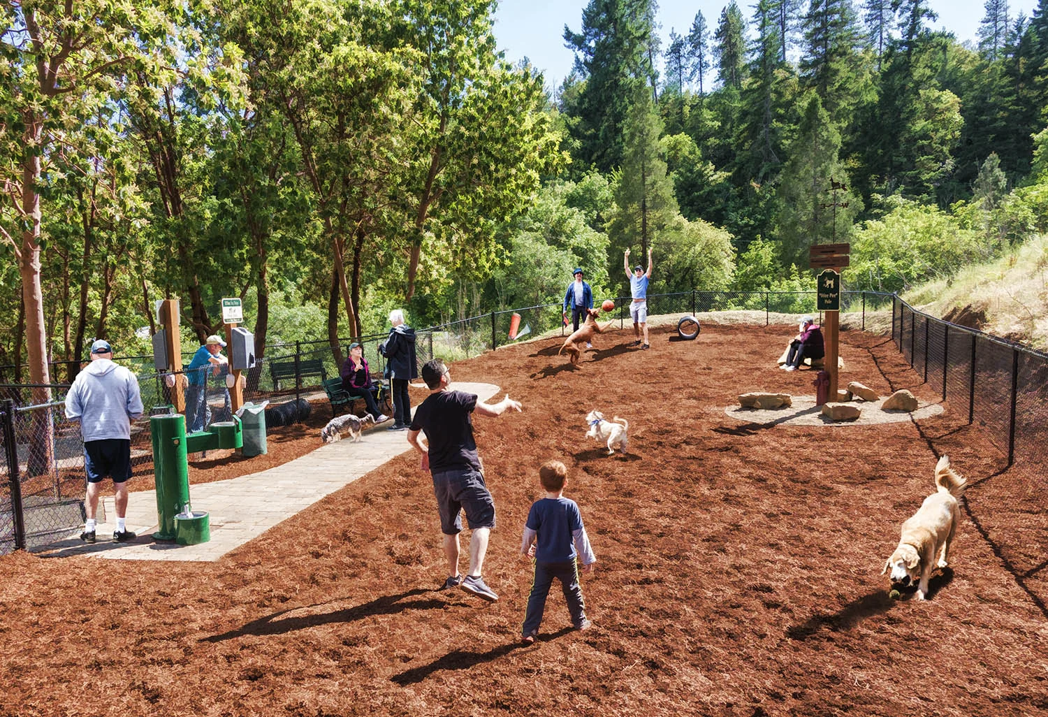 waggin tails bark park