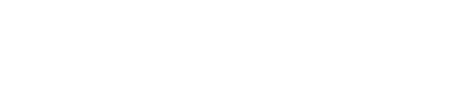 NZ Private Investigators