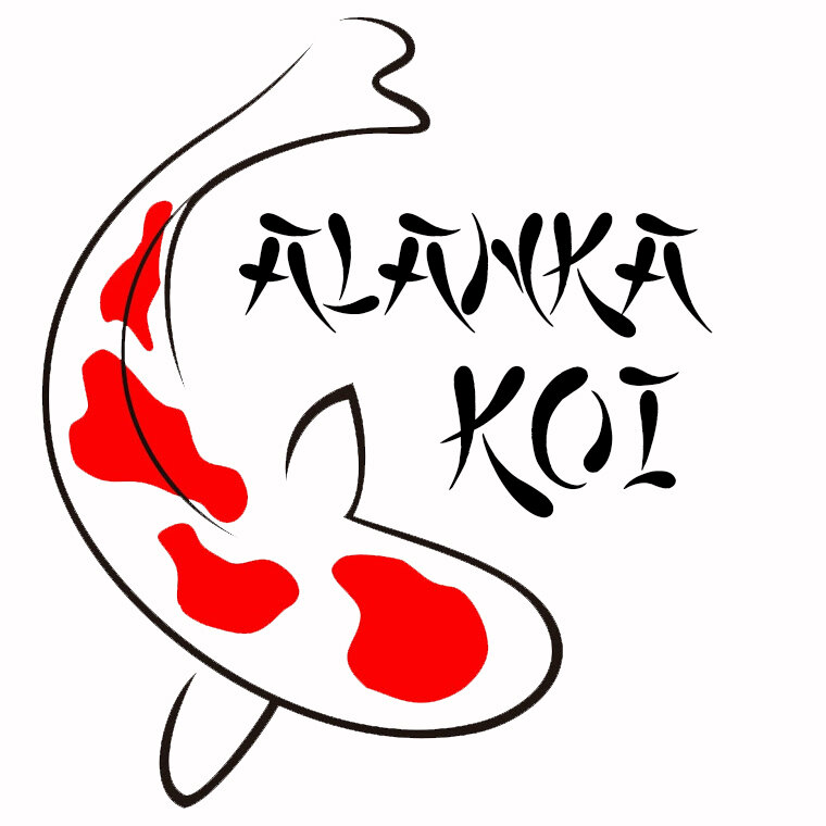 ALANKA KOI