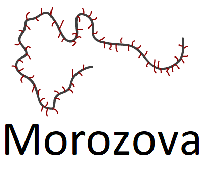 Morozova Lab