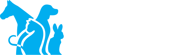 Companion Animals New Zealand