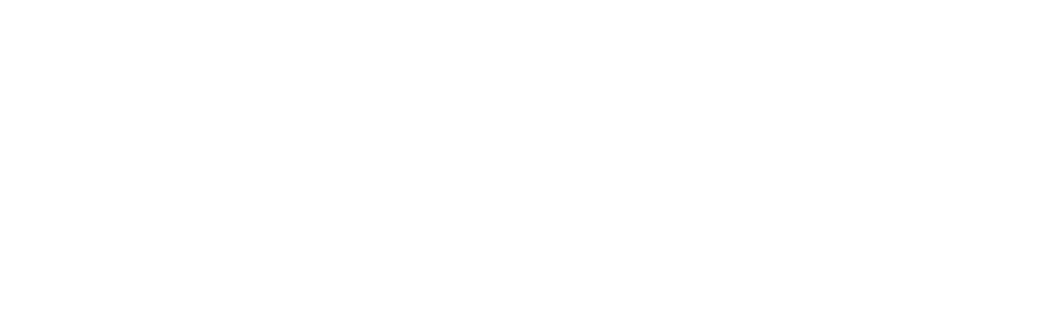 NForce Security