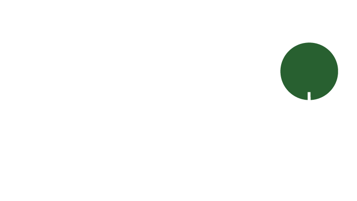 Stephen York - Toronto Real Estate Agent
