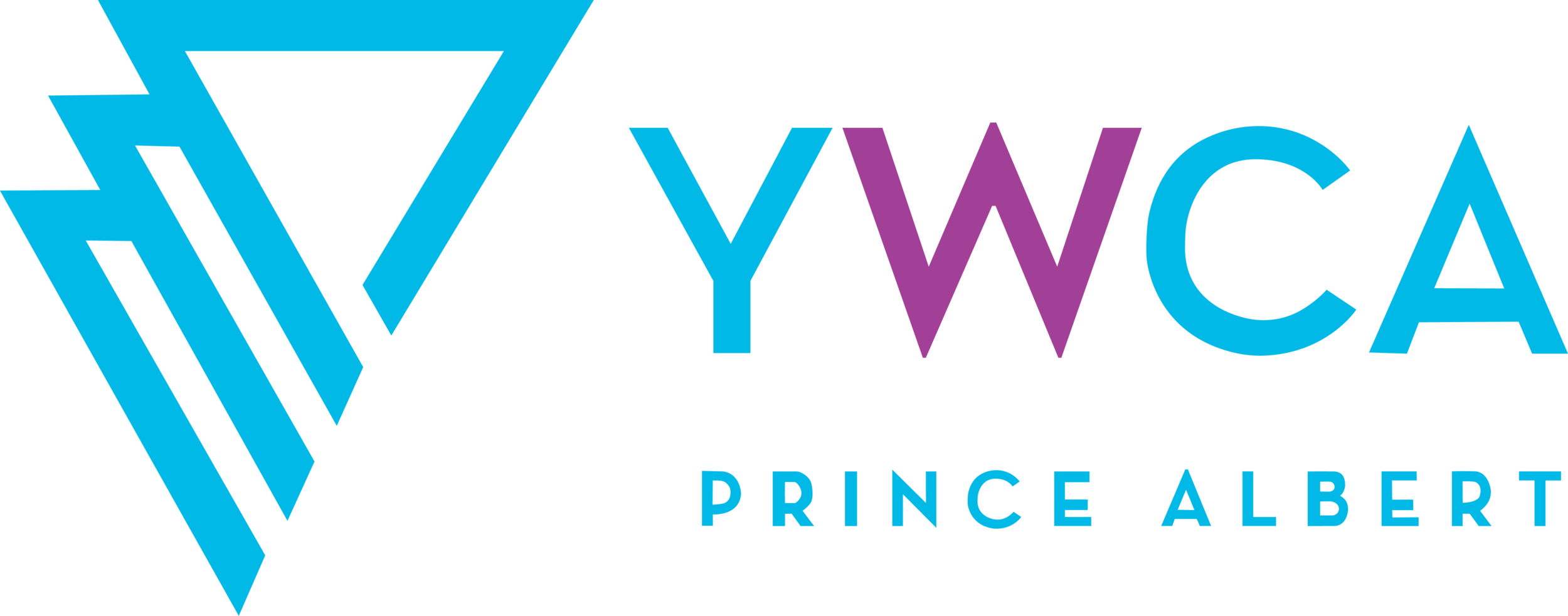 YWCA Prince Albert