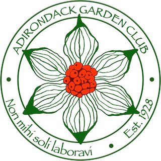 Adirondack Garden Club