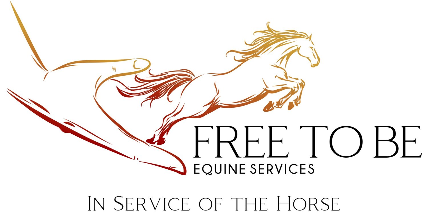 Free to Be Equine Services - Equine Therapy and Photography