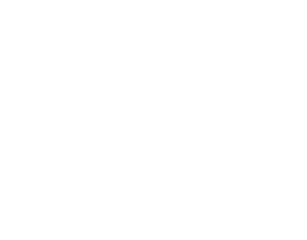 McDonnell Roofing Inc. 