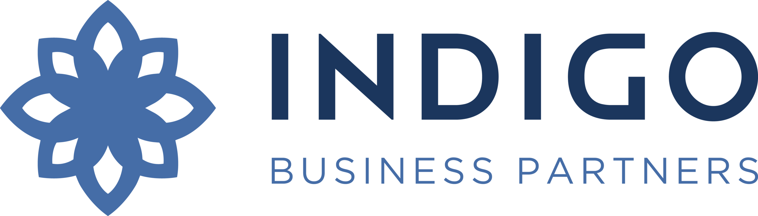 Indigo Business Partners