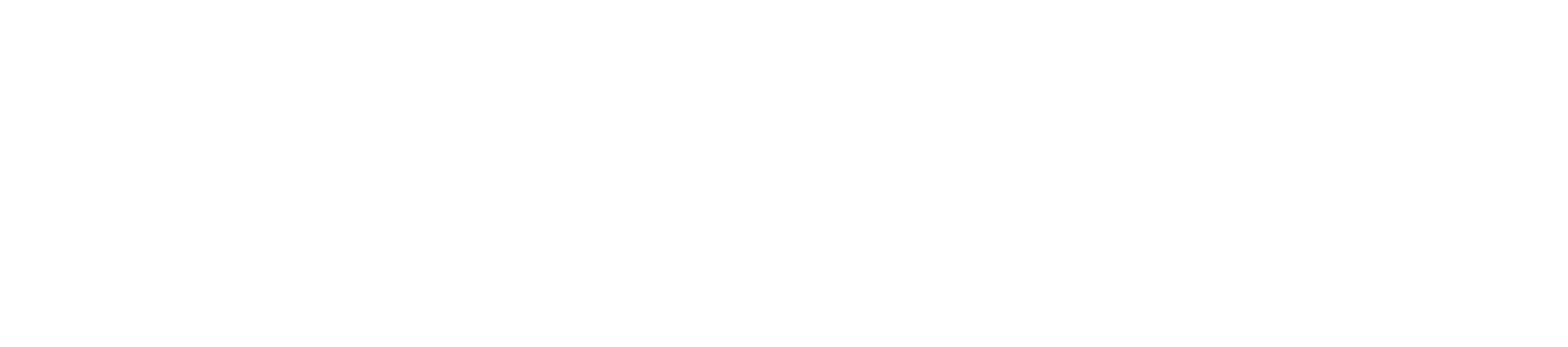 Bassett Capital Group