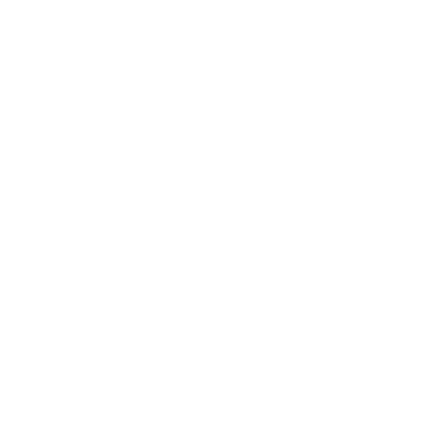 Bostown Music Fest