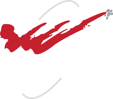 Robert Lee Martial Arts