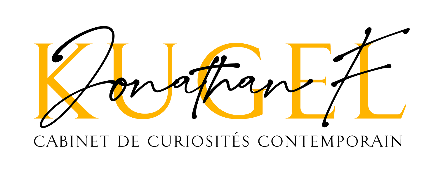Jonathan F. Kugel - Cabinet de Curiosités Contemporain