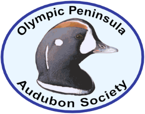 OLYMPIC PENINSULA AUDUBON SOCIETY