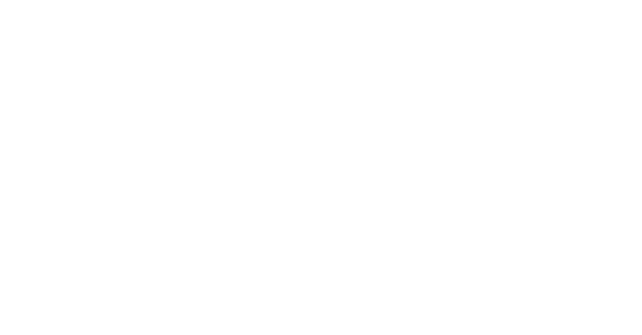 DIG IN Strategy