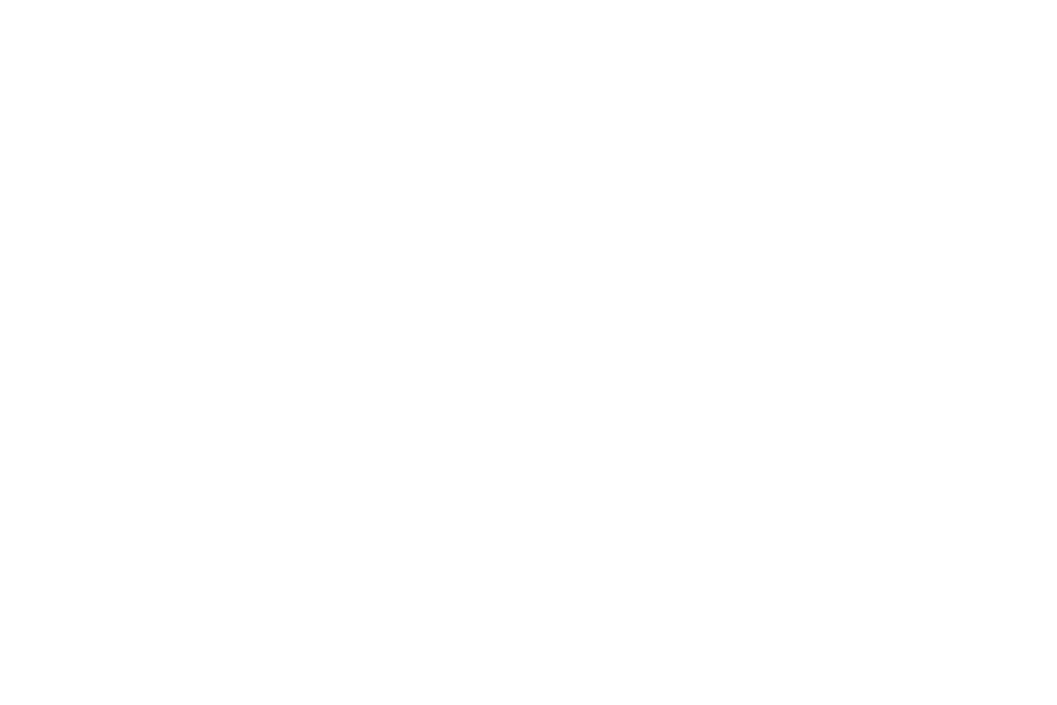 Lettleiki Icelandics