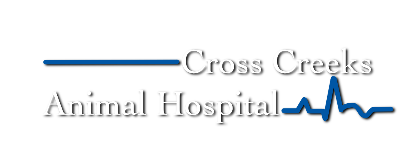Cross Creeks Animal Hospital