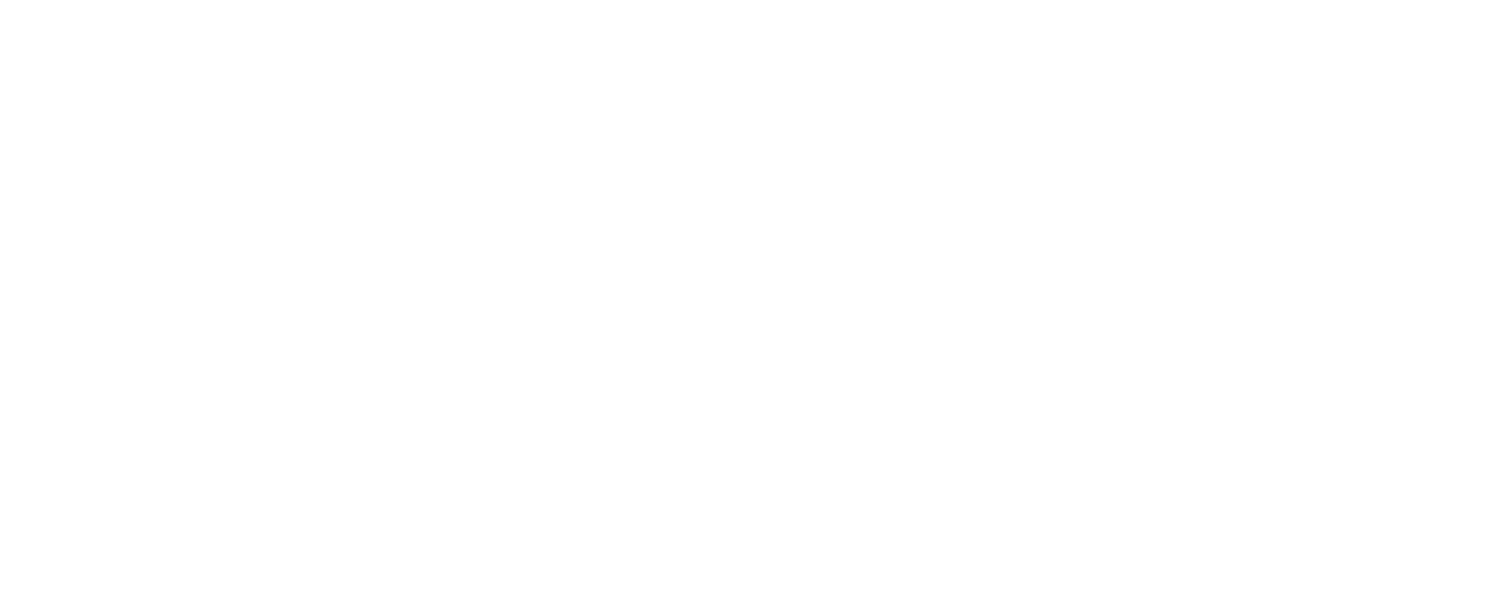EggCamper