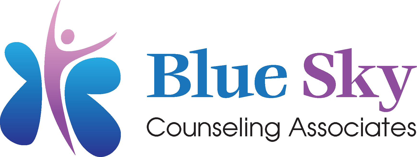 Blue Sky Counseling Associates