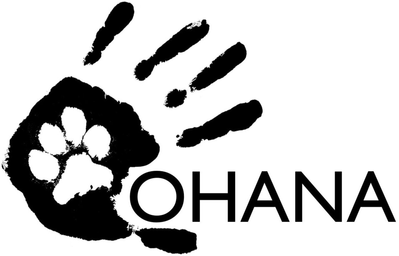 Hundeschule OHANA