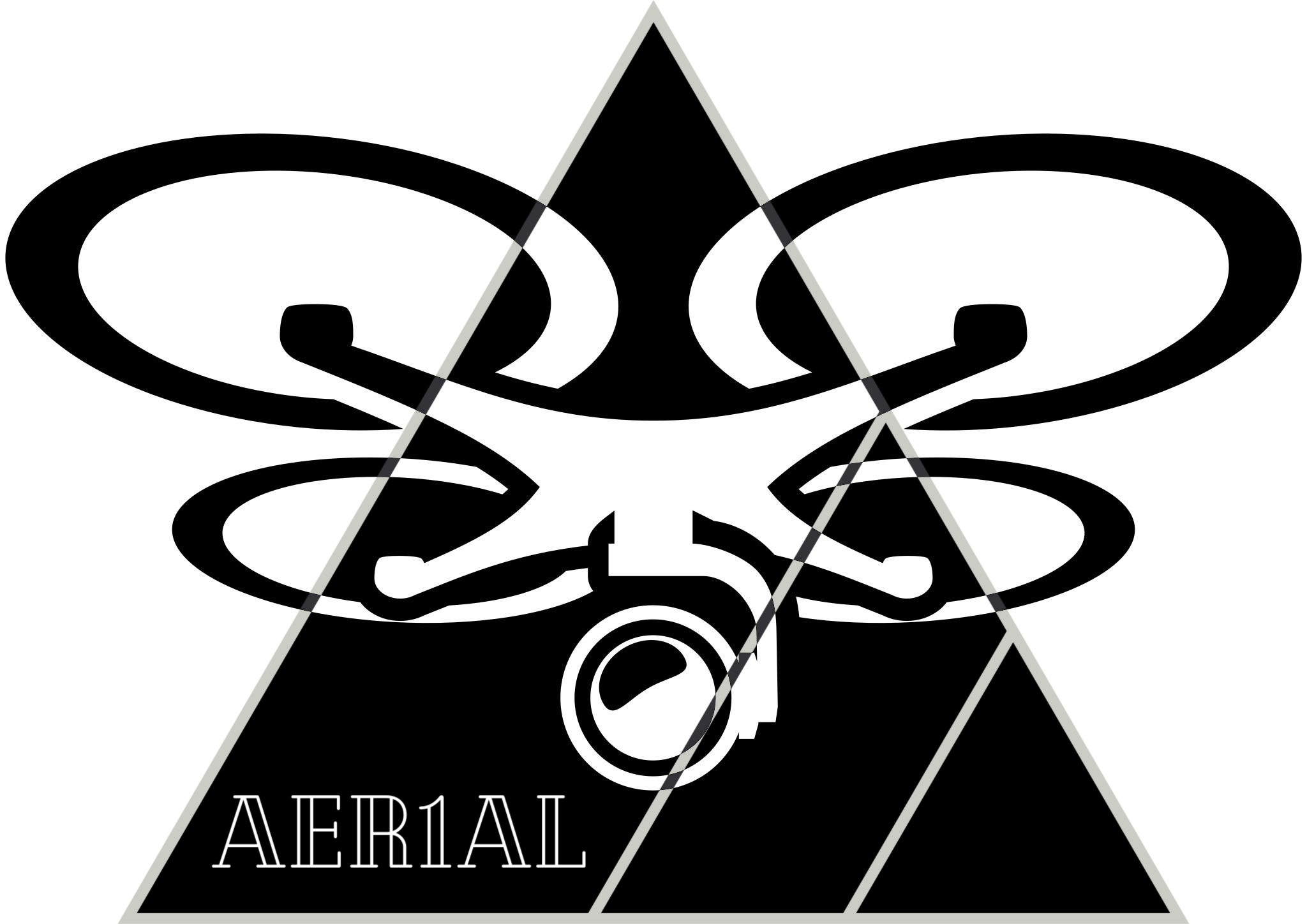 Aer1al Drone Services