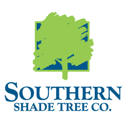 Southern Shade Tree