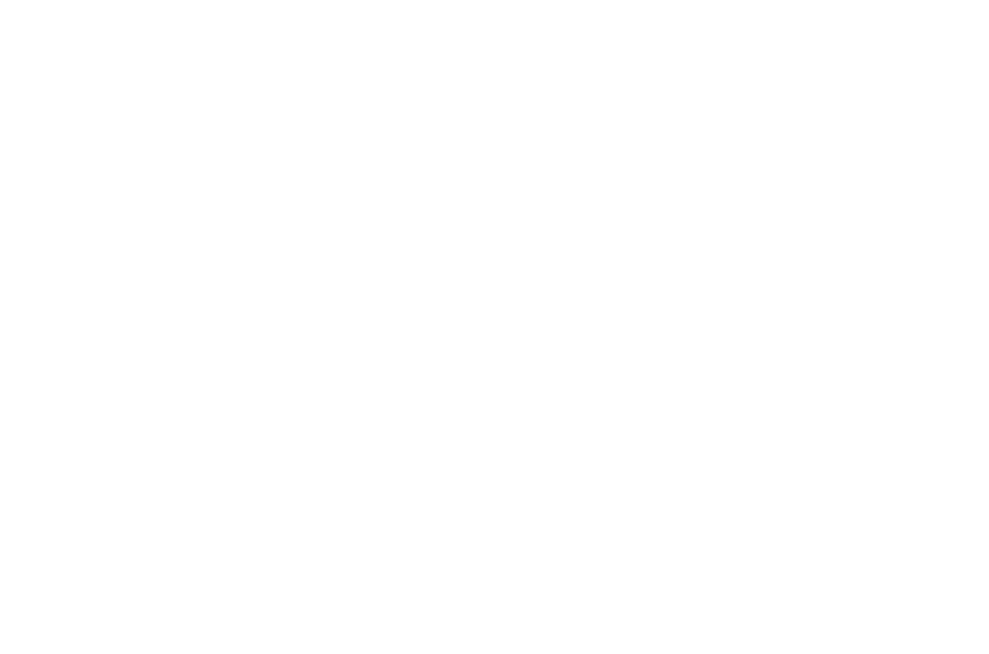 BITKNIGHTS