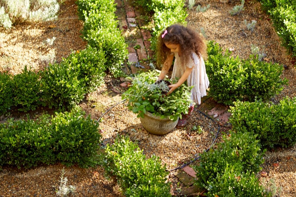 eloise + in + parterre.jpg