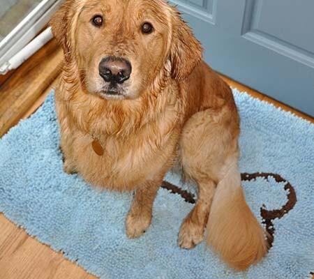 Soggy Doggy Large Absorbent Doormat - Multiple Colors — Murphy's