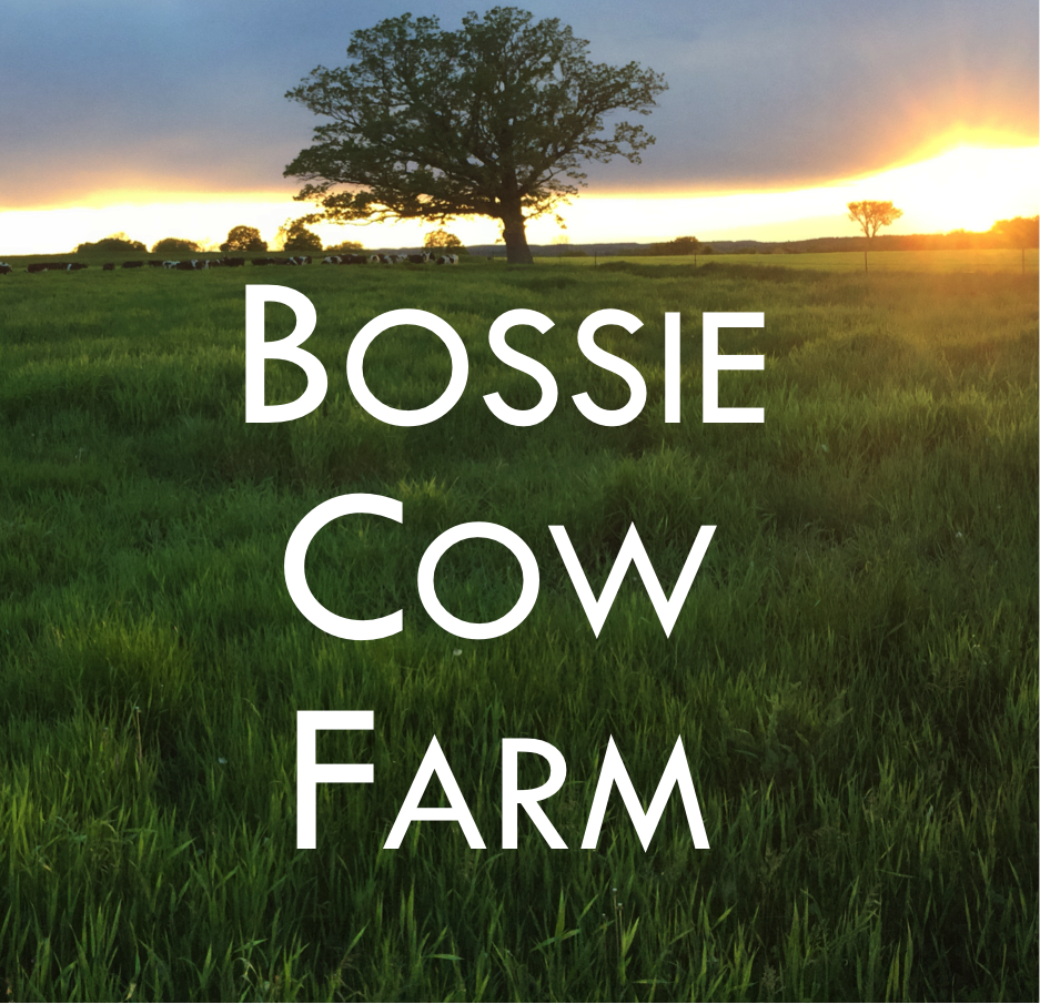 Bossie Cow Farm