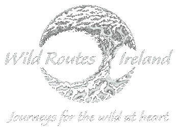 Wild Routes Ireland