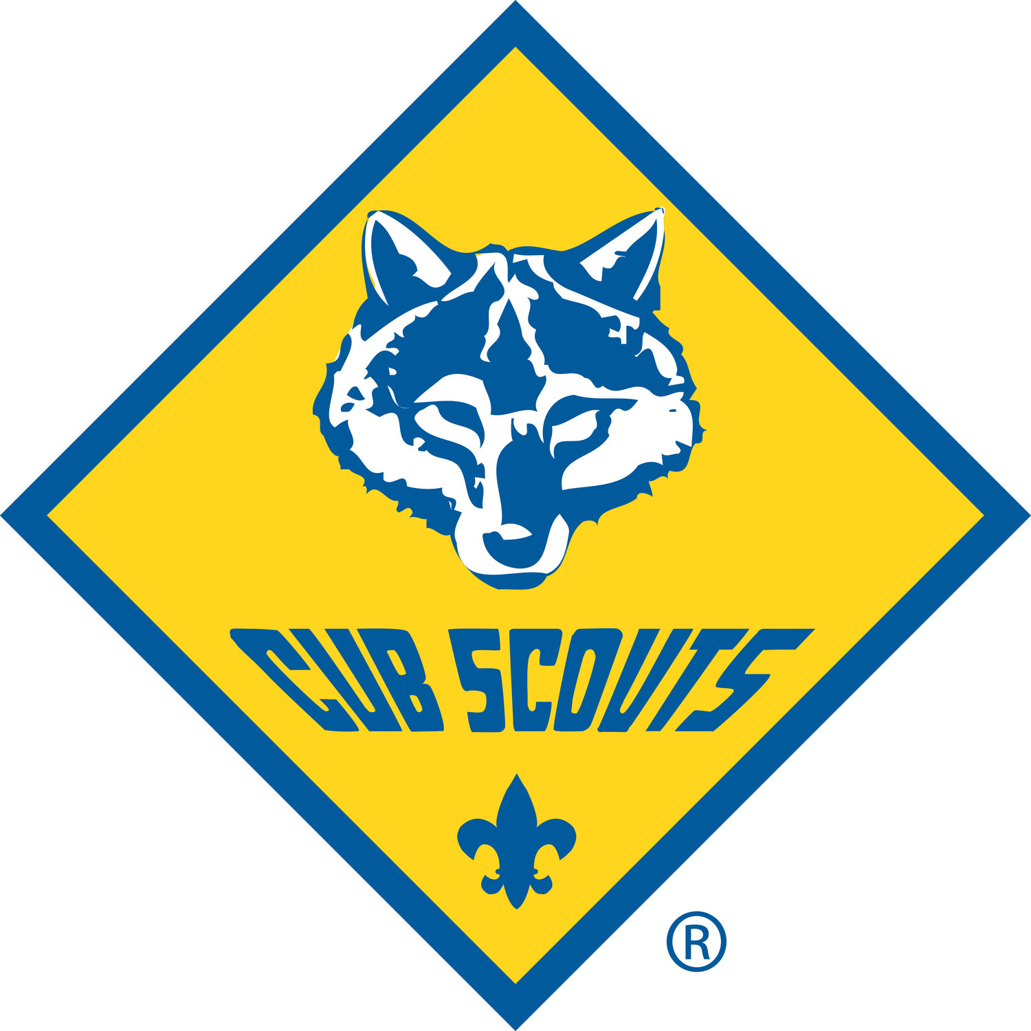 Cub Scout Pack 159