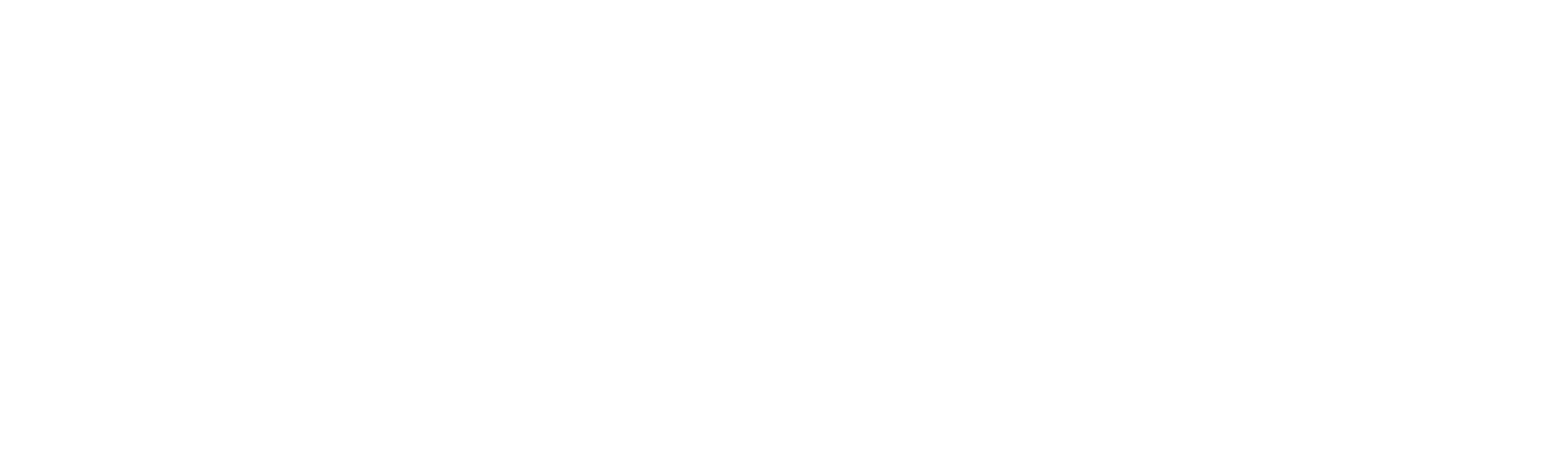 Bisa Butler