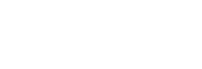 The Kodiak Group