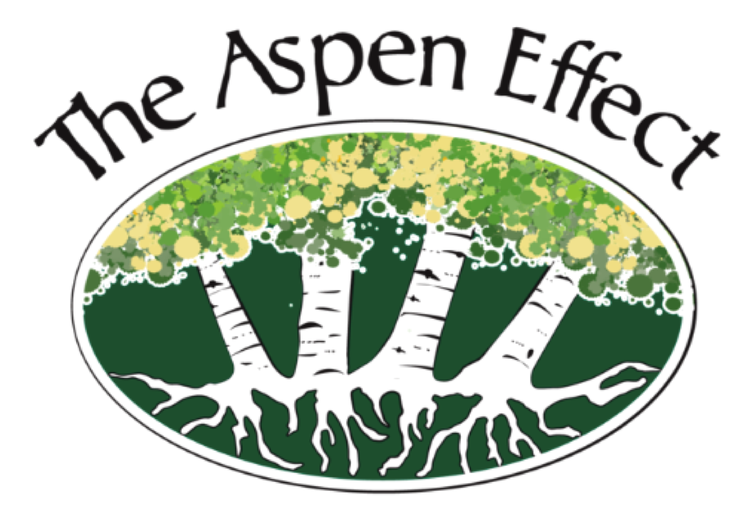 The Aspen Effect