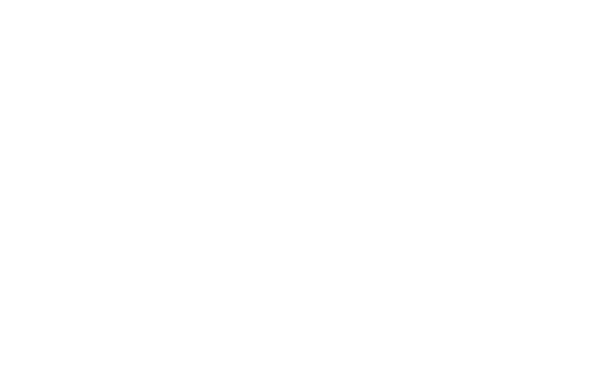 Mountains to Sound Marketing