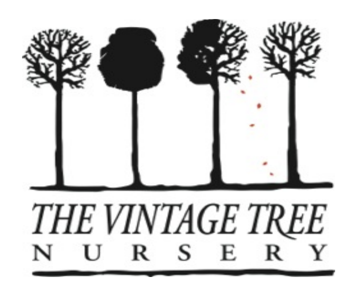 Vintage Tree Nursery  |  Holbrook NSW