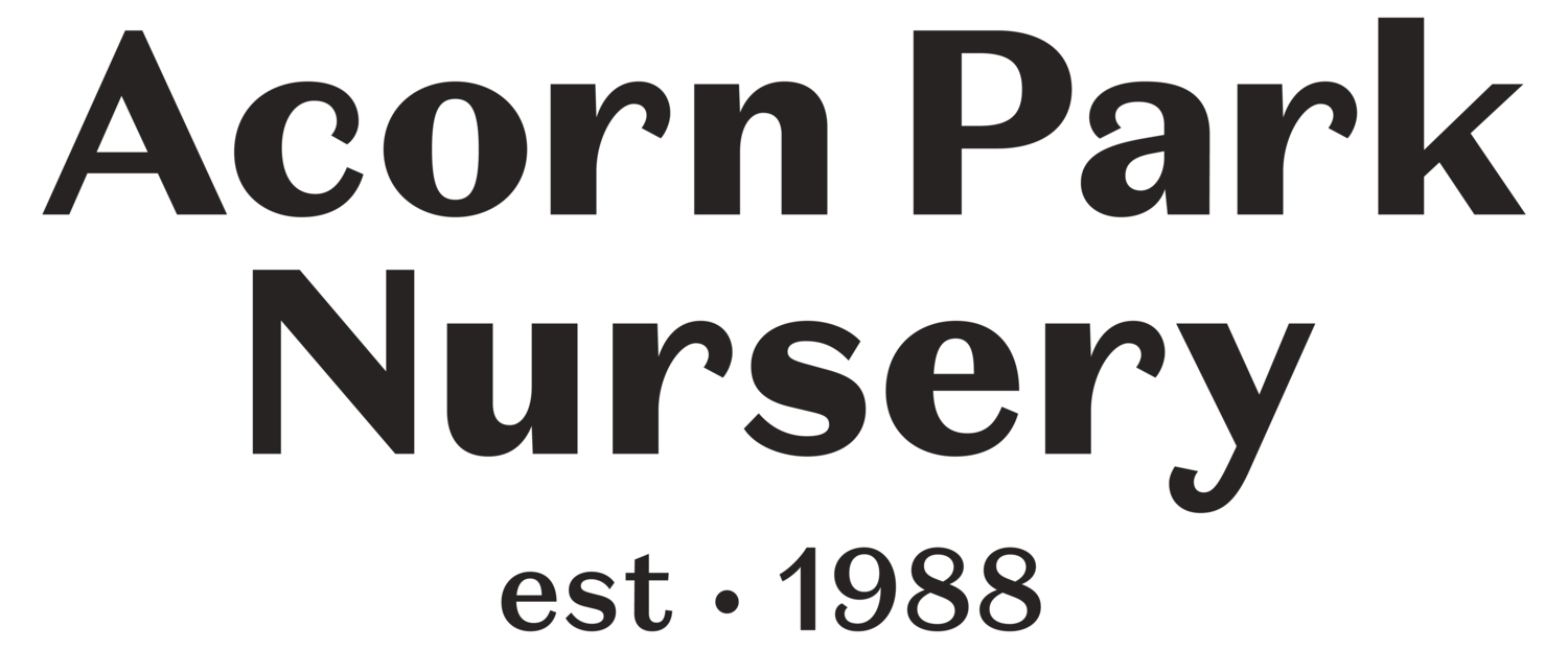 Acorn Park Nursery & Kindergarten
