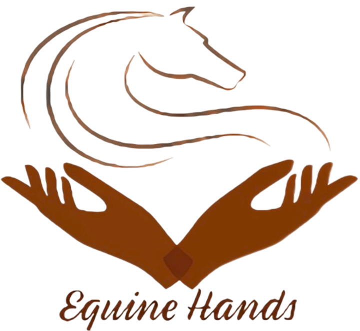 Equine Hands