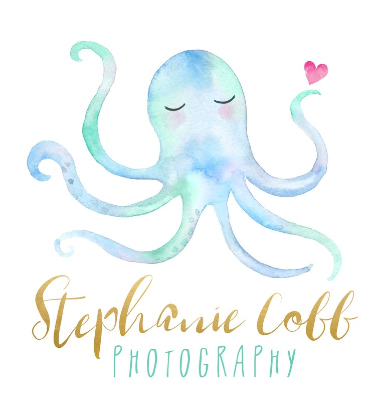 Stephanie Cobb Photography