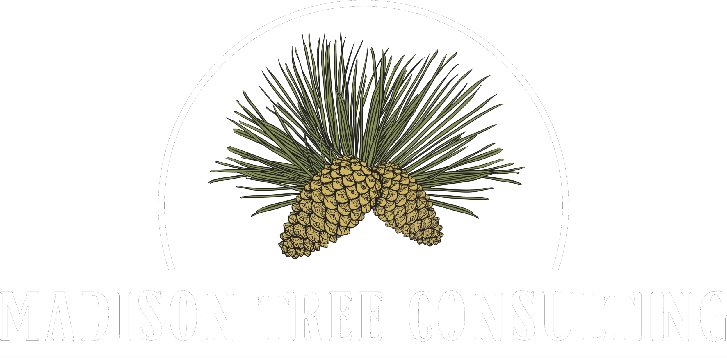 Madison Tree Consulting, LLC
