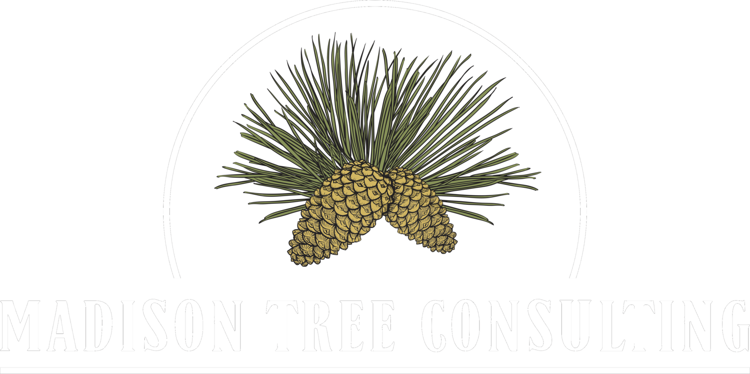 Madison Tree Consulting, LLC