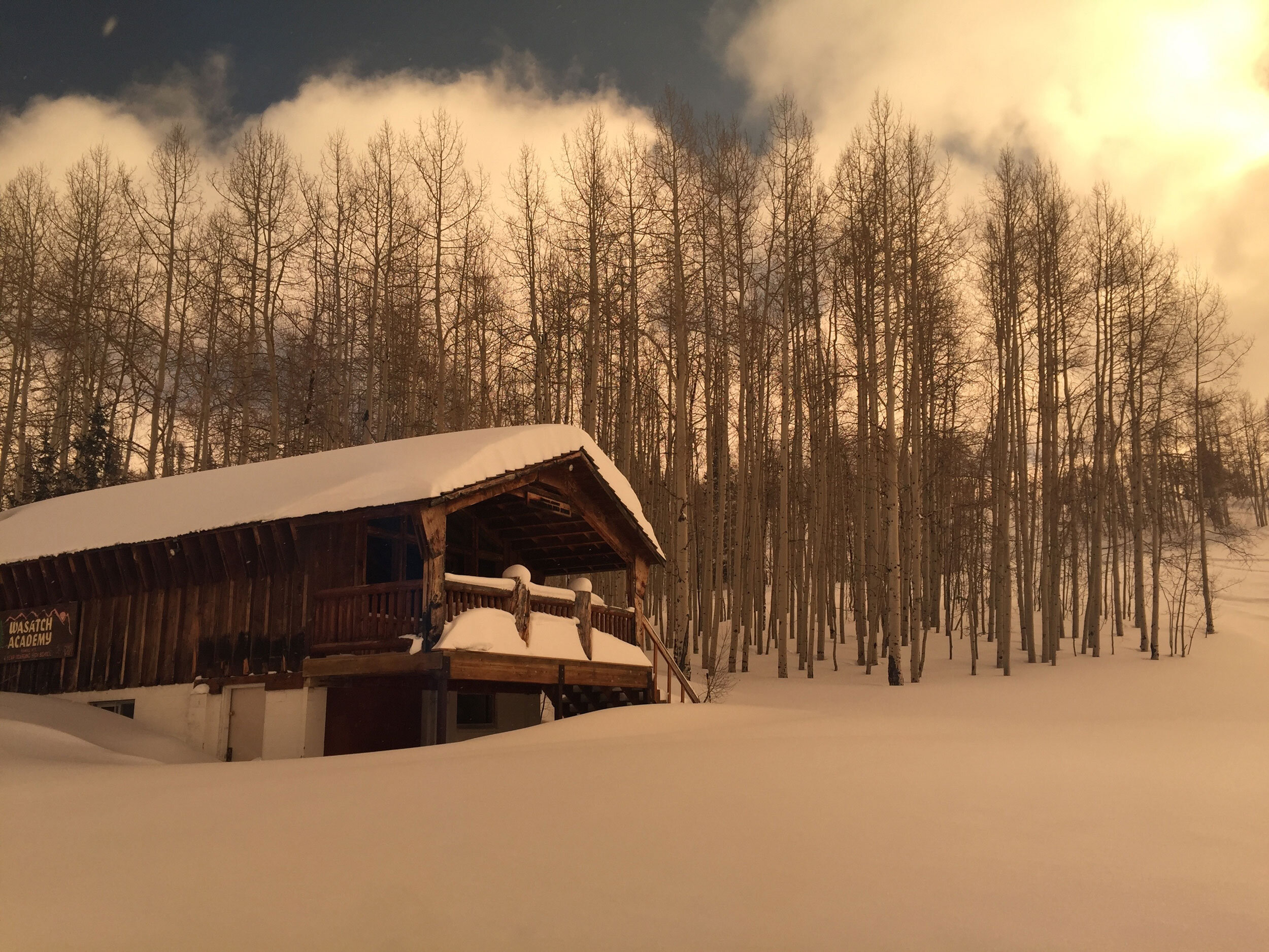 Cabin.jpg