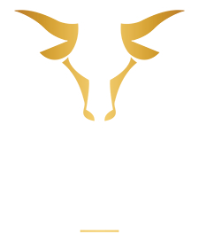 NO. SIX PRIME