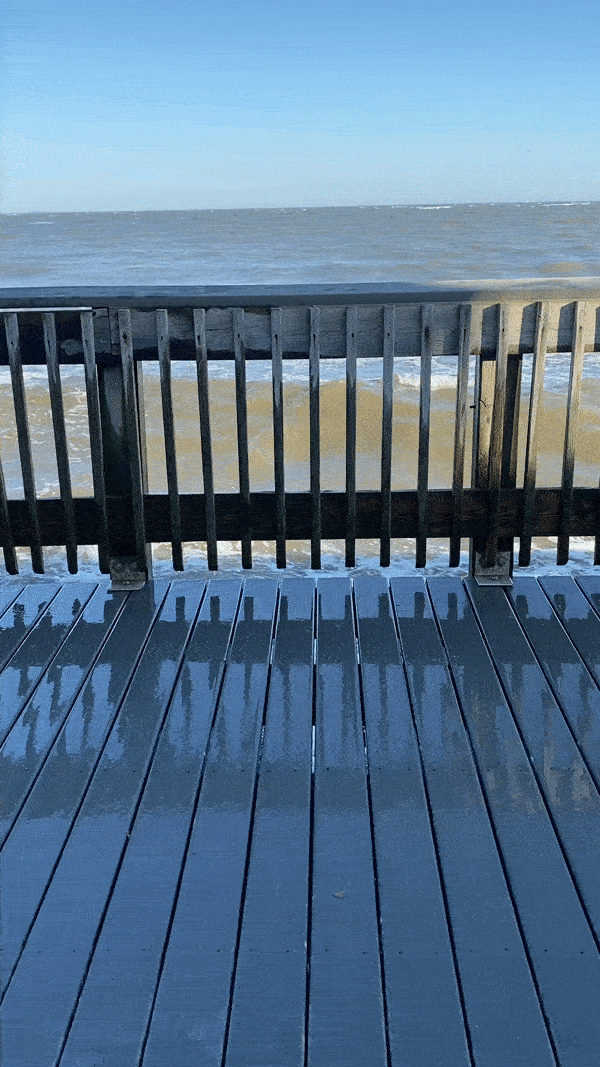 北海滩Chesapeak Bay.GIF