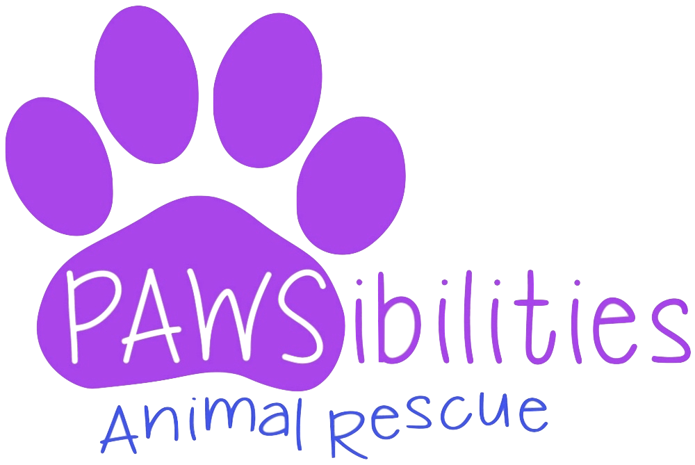PAWSibilities Animal Rescue Inc.