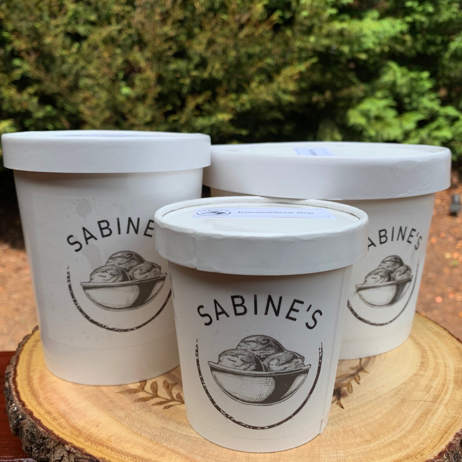 Homemade Ice Cream - Korosol/Soursop — Sabine's