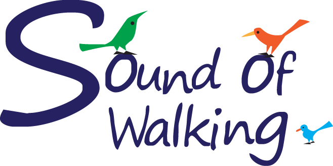 Sound of Walking